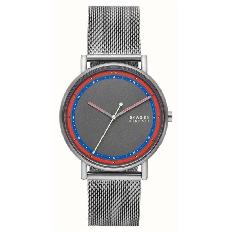 Montre Homme Skagen SIGNATUR (Ø 40 mm)