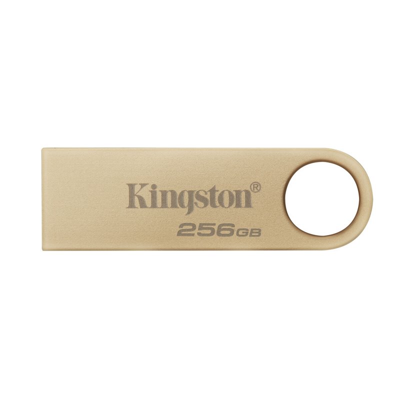 Kingston Technology DataTraveler 256Go 220Mo/s Clé USB 3.2 Gen 1 Métal SE9 G3