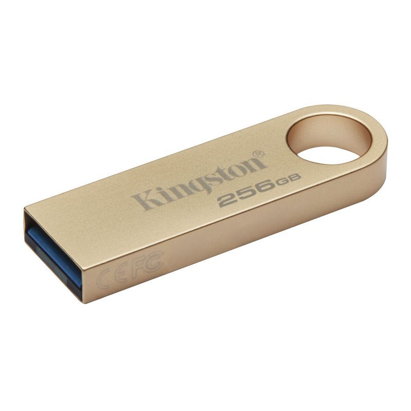 Image secondaire de Kingston Technology DataTraveler 256Go 220Mo/s Clé USB 3.2 Gen 1 Métal SE9 G3