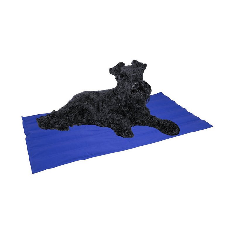 Image secondaire de Tapis pour chien Nayeco Bleu Gel réfrigérant (50 x 90 cm)