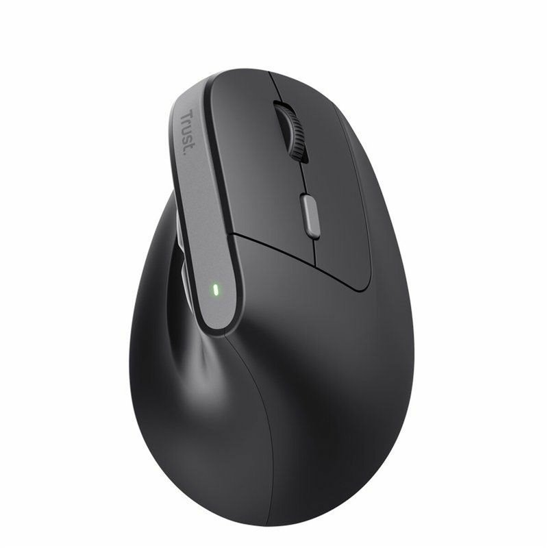 Trust TM-270 souris Bureau Droitier RF sans fil Optique 2400 DPI