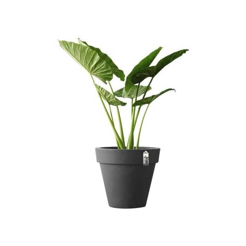 Image secondaire de Pot Elho 8403604042500 Anthracite Ø 40 cm