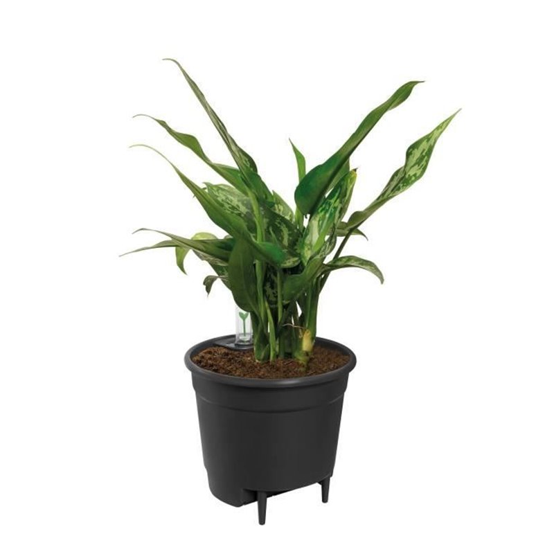 Pot Elho Ø 17 cm Plastique Rond Moderne