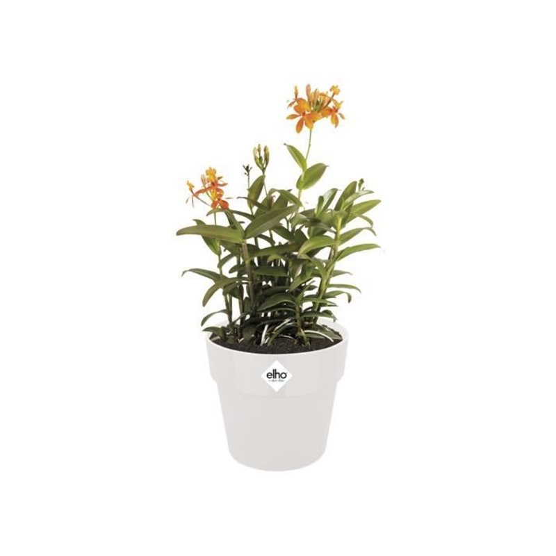 Image secondaire de Pot Elho 9262302515000 Blanc Ø 24,7 x 23,2 cm