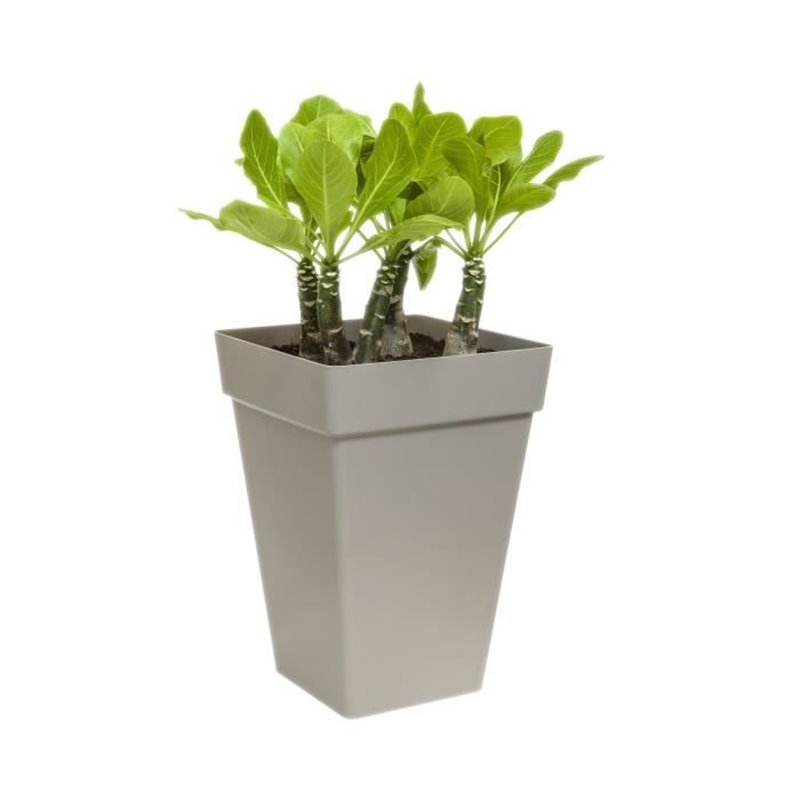 Image secondaire de Pot Elho Ø 29,5 cm Blanc polypropylène Plastique Carré Moderne