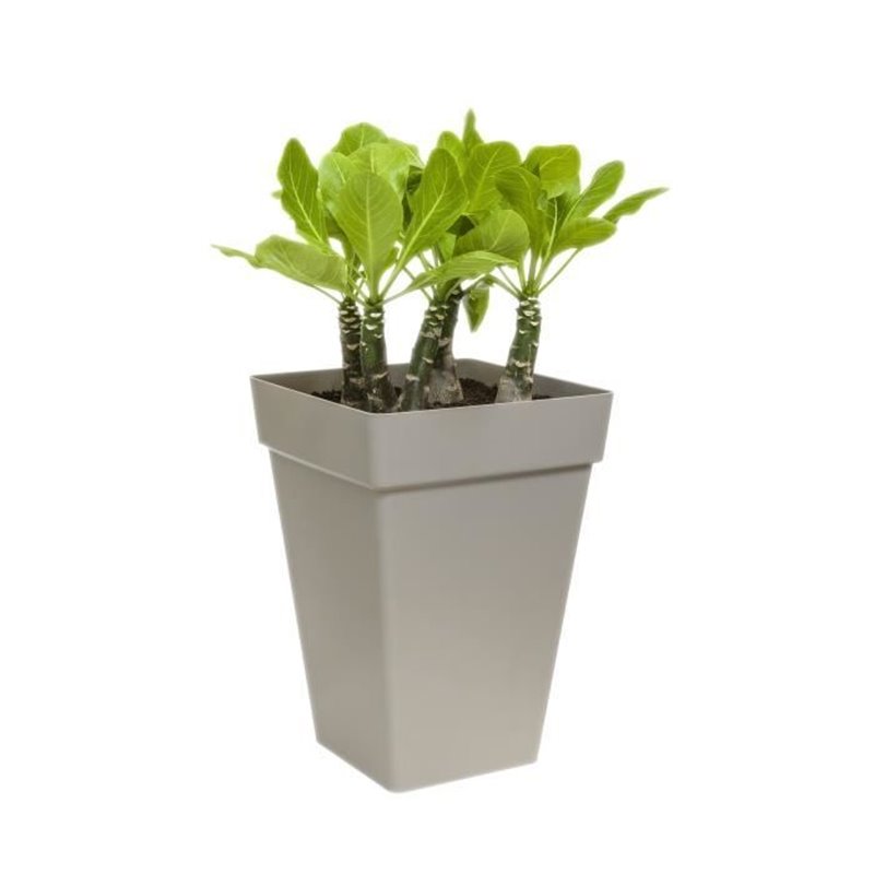 Image secondaire de Pot Elho Ø 29,5 cm Anthracite polypropylène Plastique Carré