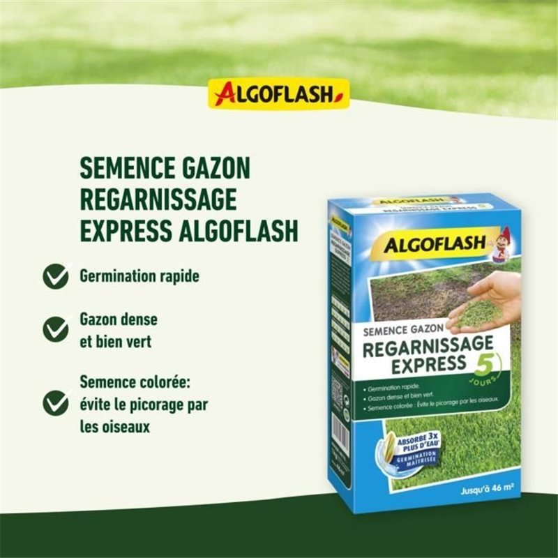 Image secondaire de Graines Algoflash Express Pelouse 3 Kg