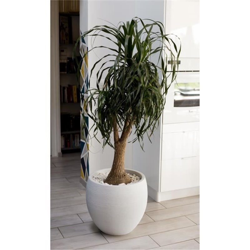 Image secondaire de EDA Pot rond Graphit Ø50cm - Contenance 46L - Blanc cérusé