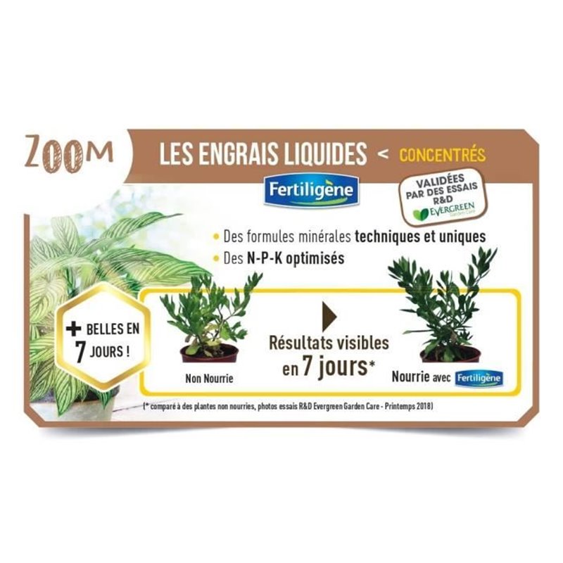 Image secondaire de Fertiligene Engrais Arbustes Buis Bambous - 400 ml