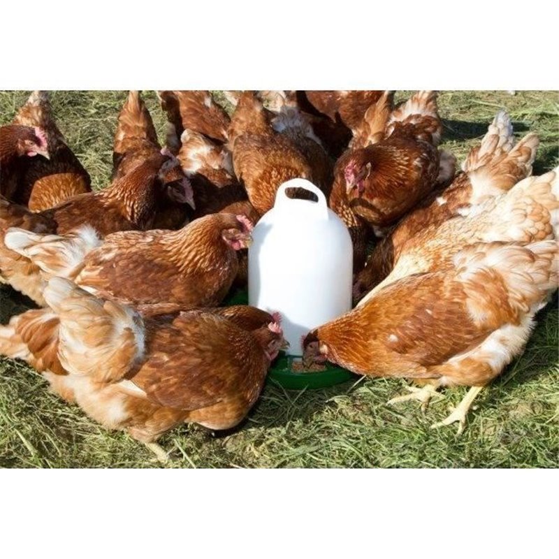 Image secondaire de Nourrisseur plastique poules - KERBL - 24 cm - Ø30 cm - 2,5 kg - Blanc / Vert