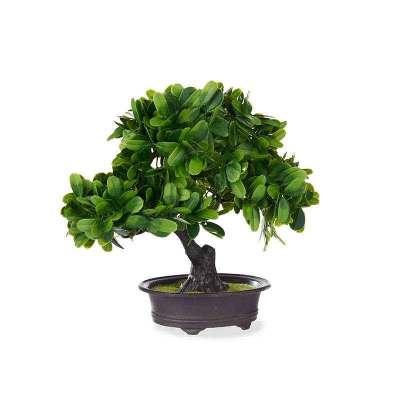 Image secondaire de Plante décorative Bonsai Plastique 27 x 28 x 14 cm (8 Unités)