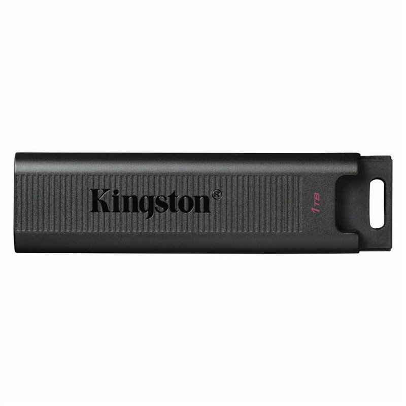 Clé USB Kingston DTMAX/1TB Noir 