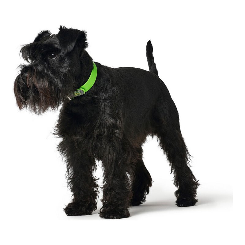 Image secondaire de Collier pour Chien Hunter Convenience Taille S Vert (28-36 cm)