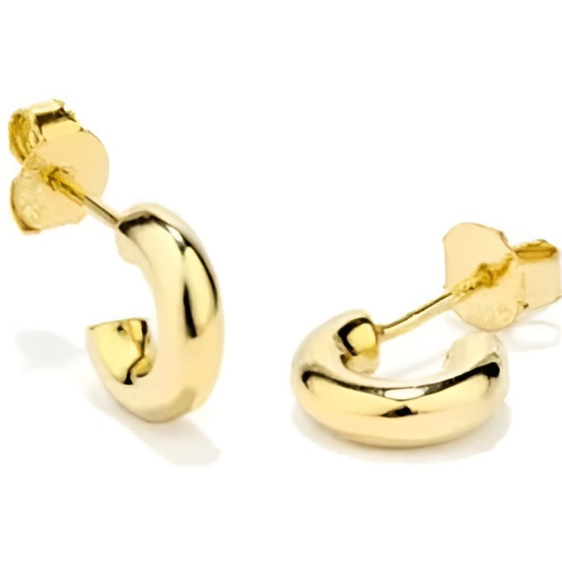 Boucles d'oreilles Femme Radiant RY000224