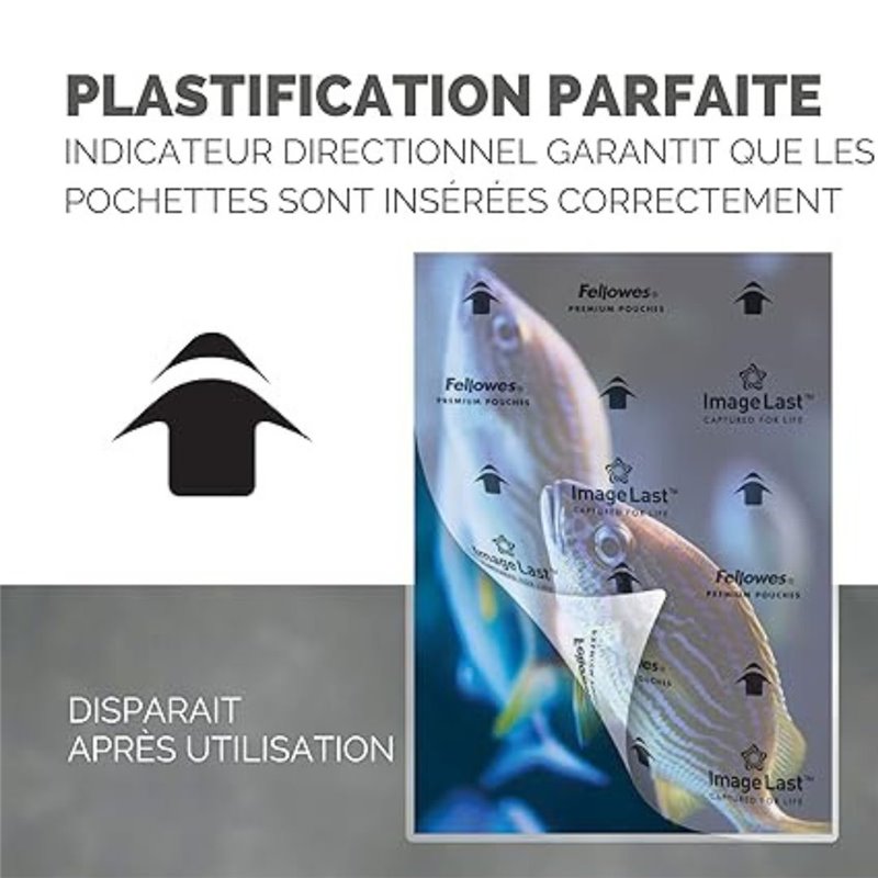 Image secondaire de Fellowes pochette de plastification 80MIC A4 GLOSS 100PK 5306114