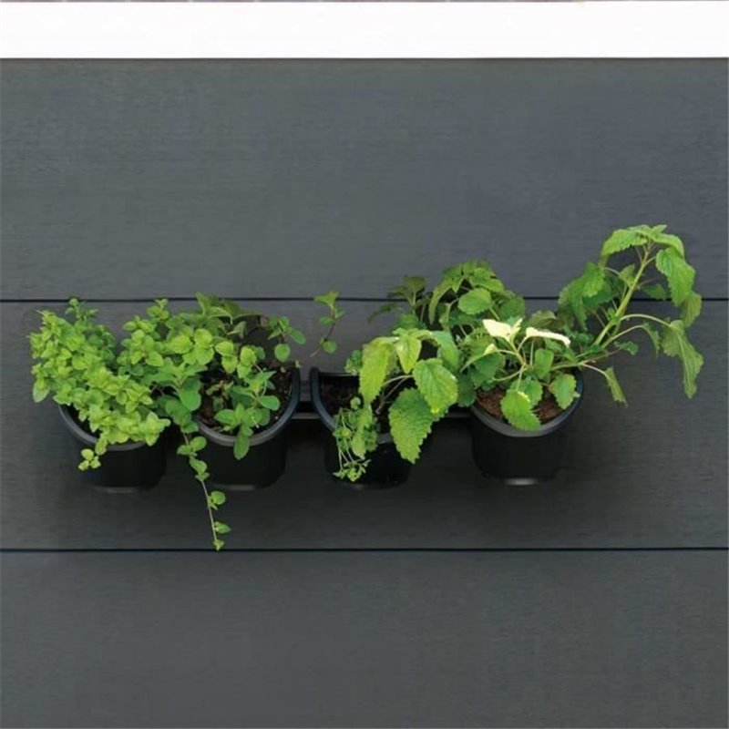 Image secondaire de Jardiniere murale - Kit mural composé d'un support mural et de 4 pots (1 L) - Noir - Dim H 15 x L 60 cm - NATURE