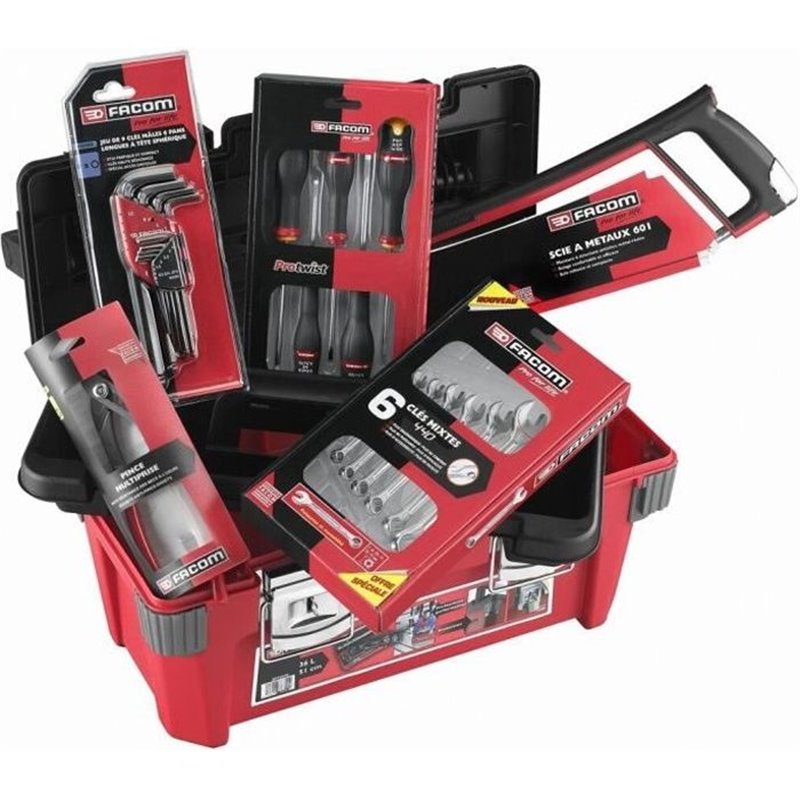 Caisse a outils FACOM + 22 outils - 5 Tournevis Protwist + 6 Clés mixtes OVG + 9 Clés mâles + Scie métaux + Pince - BP.P