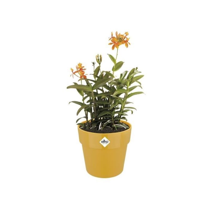 Image secondaire de Pot de fleur B.for Original Rond 30 ocre