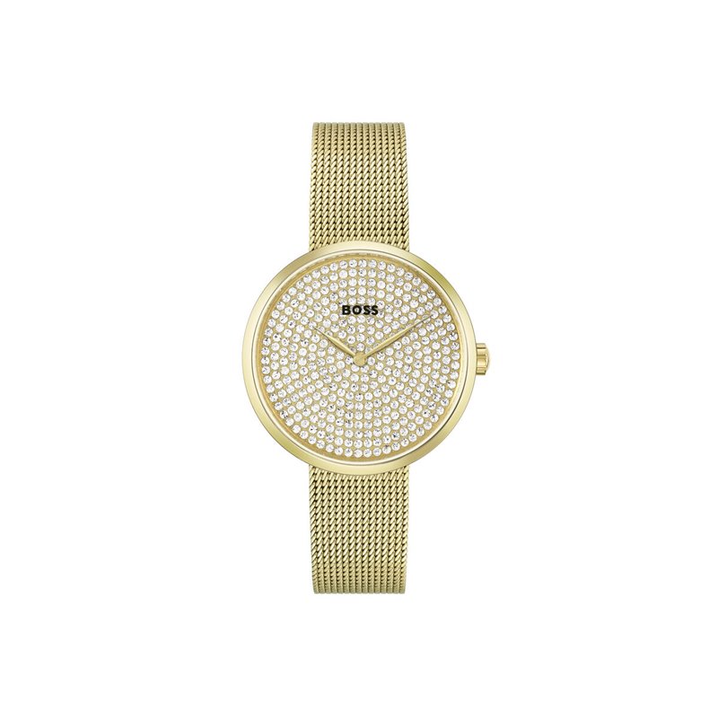 Montre Femme Hugo Boss 1502659 (Ø 36 mm)