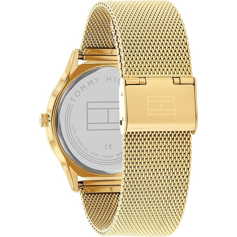 Image secondaire de Montre Homme Tommy Hilfiger 1710469