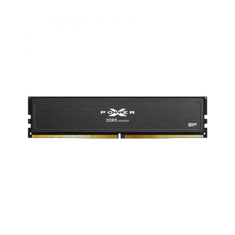 Mémoire RAM Silicon Power SP032GXLWU560FSJ