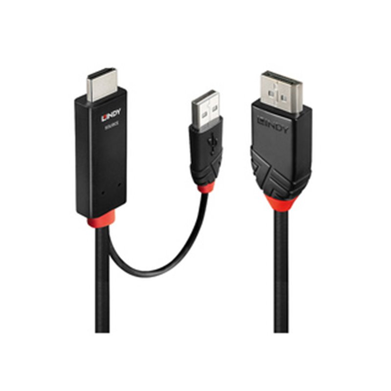 Lindy 41499 câble vidéo et adaptateur 2 m HDMI + USB Type-A DisplayPort Noir