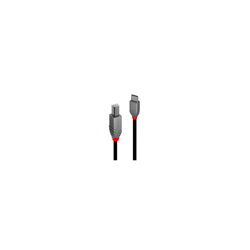 Lindy 36943 câble USB 3 m USB 2.0 USB C USB B Noir