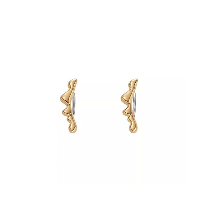 Image secondaire de Boucles d´oreilles Femme Skagen SKJ1773710