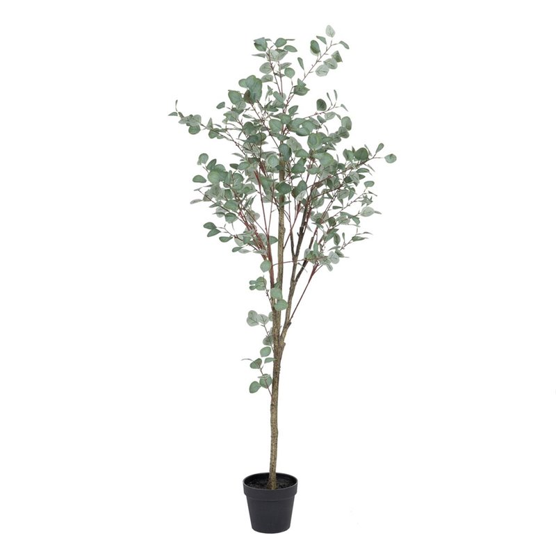 Plante décorative Polyéthylène Eucalyptus 80 x 82 x 180 cm