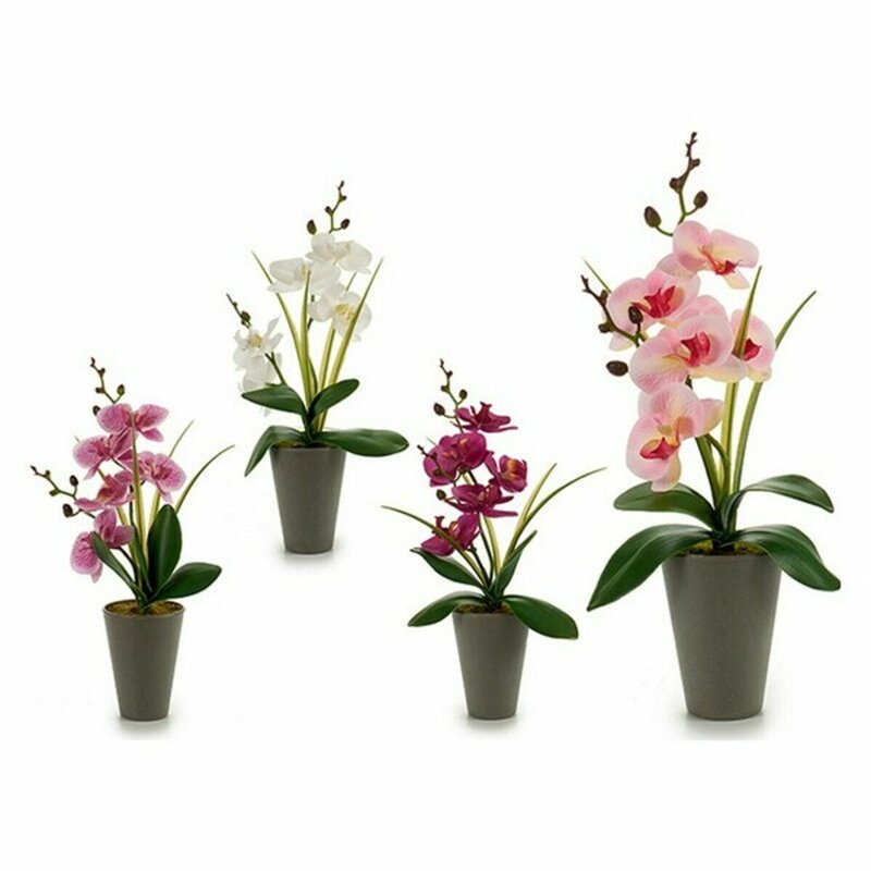 Image secondaire de Plante décorative Orchidée Plastique 8 x 35 x 14 cm (12 Unités)