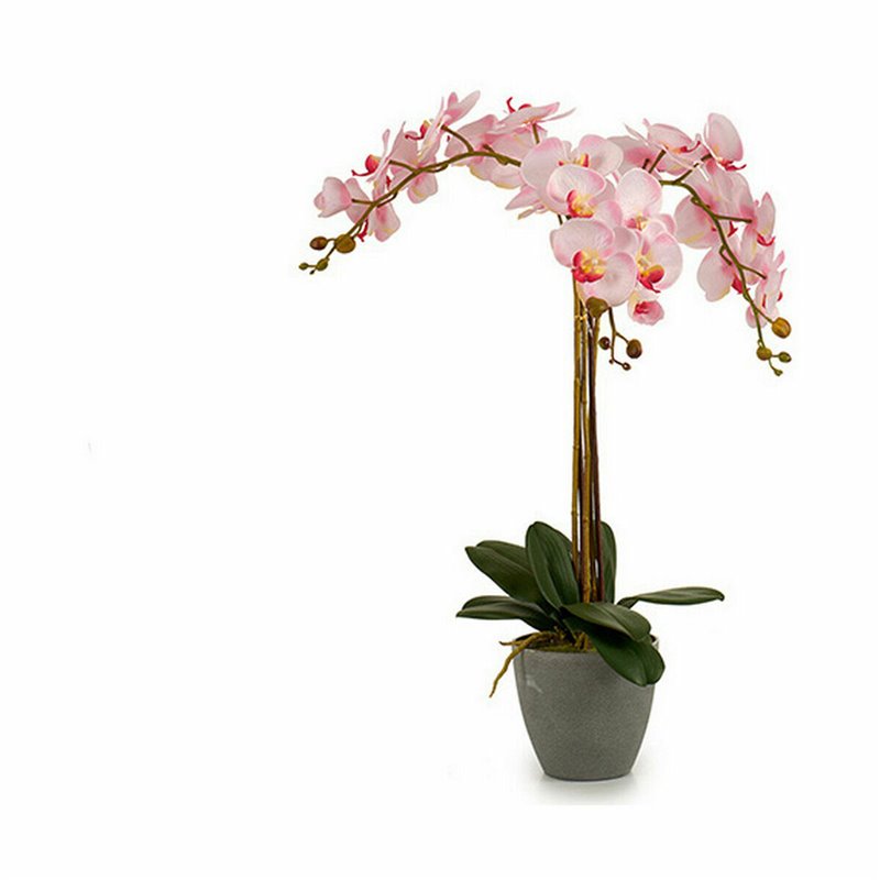 Image secondaire de Plante décorative Orchidée Plastique 29 x 78 x 35 cm (2 Unités)