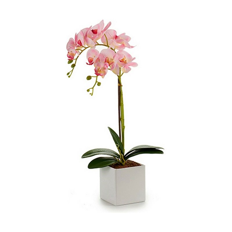 Image secondaire de Plante décorative Orchidée 18 x 47 x 14 cm Plastique (6 Unités)