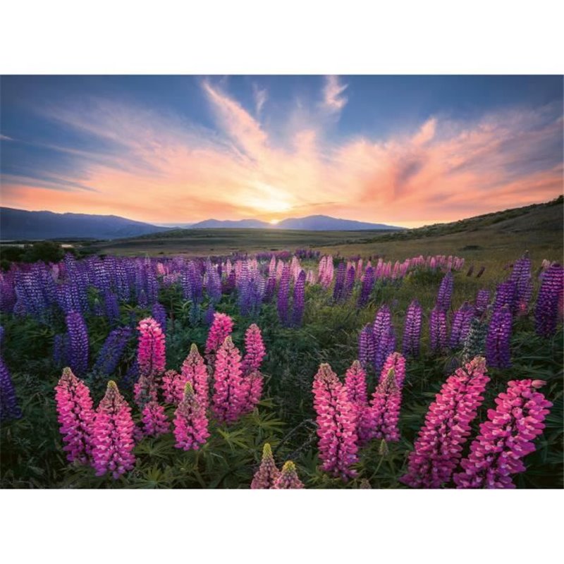 Ravensburger-Puzzle 500 pieces-Les lupins (Nature edition)-Des 12 ans - Puzzle de qualité supérieure-12000688