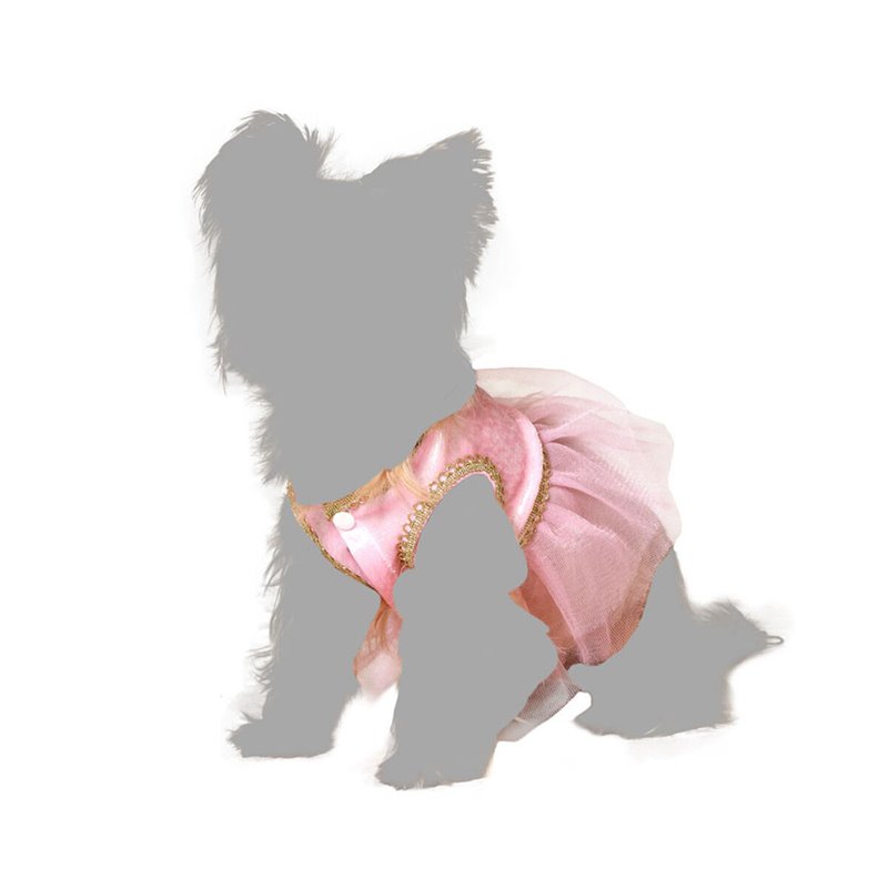 déguisement pour chien Taille S Danseuse Classique