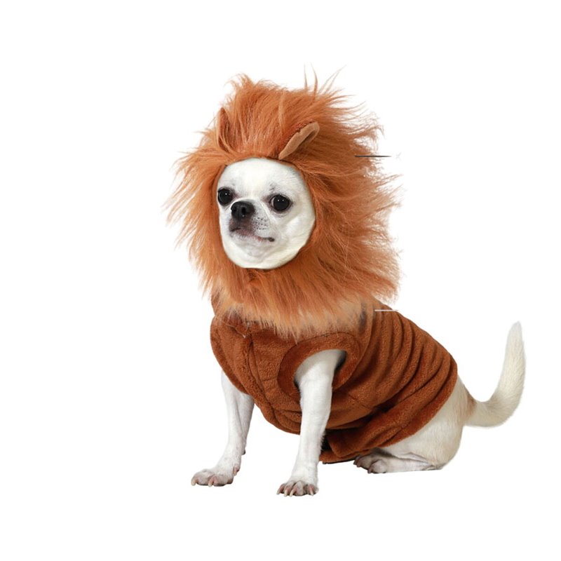 déguisement pour chien Taille S Lion