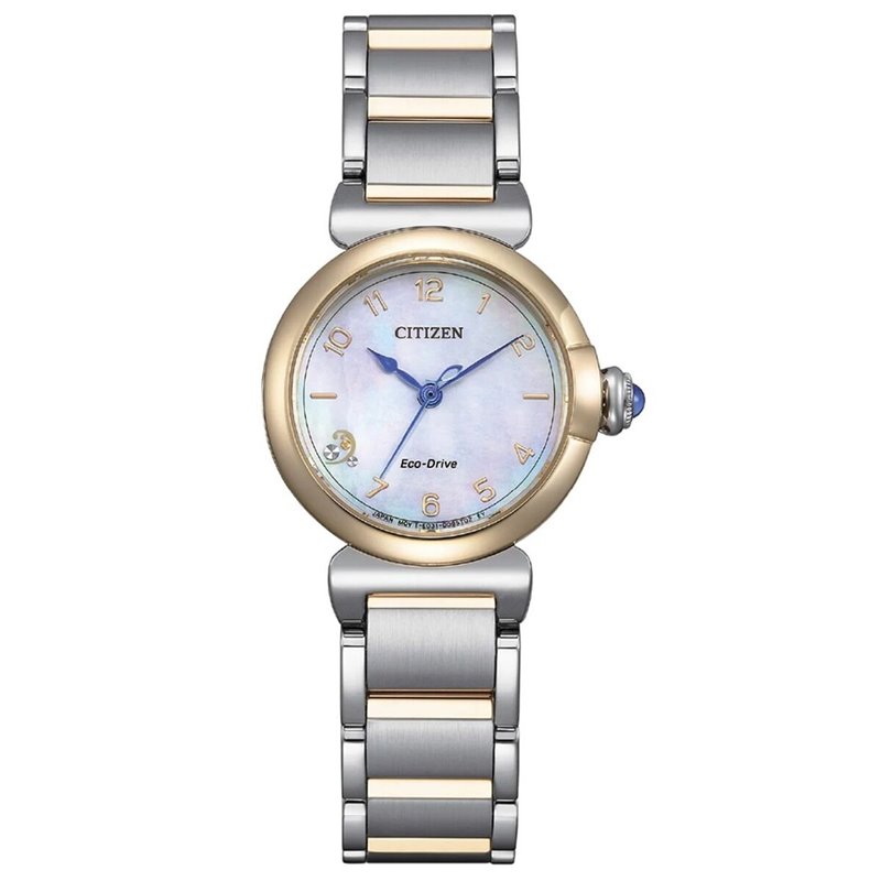 Montre Unisexe Citizen EM1136-87D