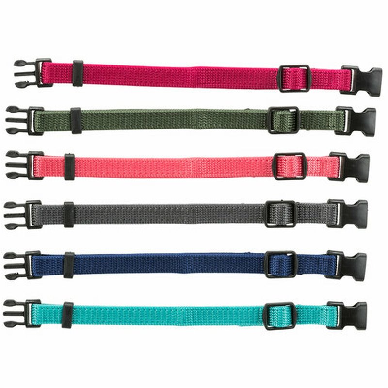 Image secondaire de Collier pour Chien Trixie Vert Graphite Fuchsia Corail Indigo Azul Océano S/M 17-25 cm (6 Unités)