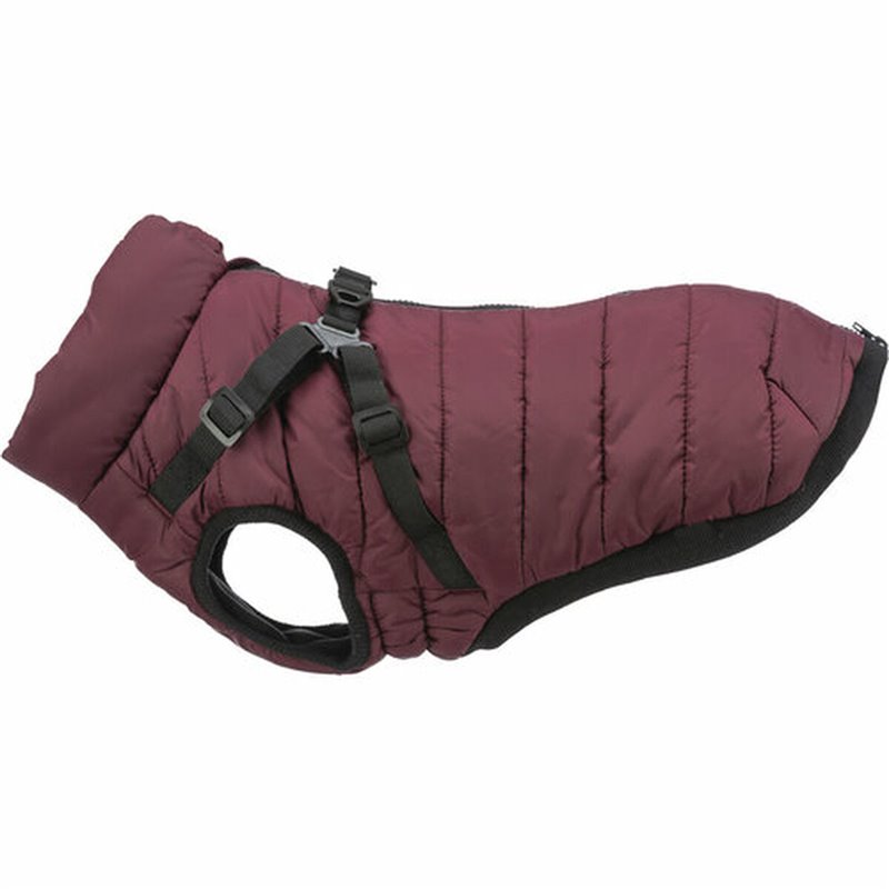 Image secondaire de Manteau pour Chien Trixie Pirou Bordeaux XS