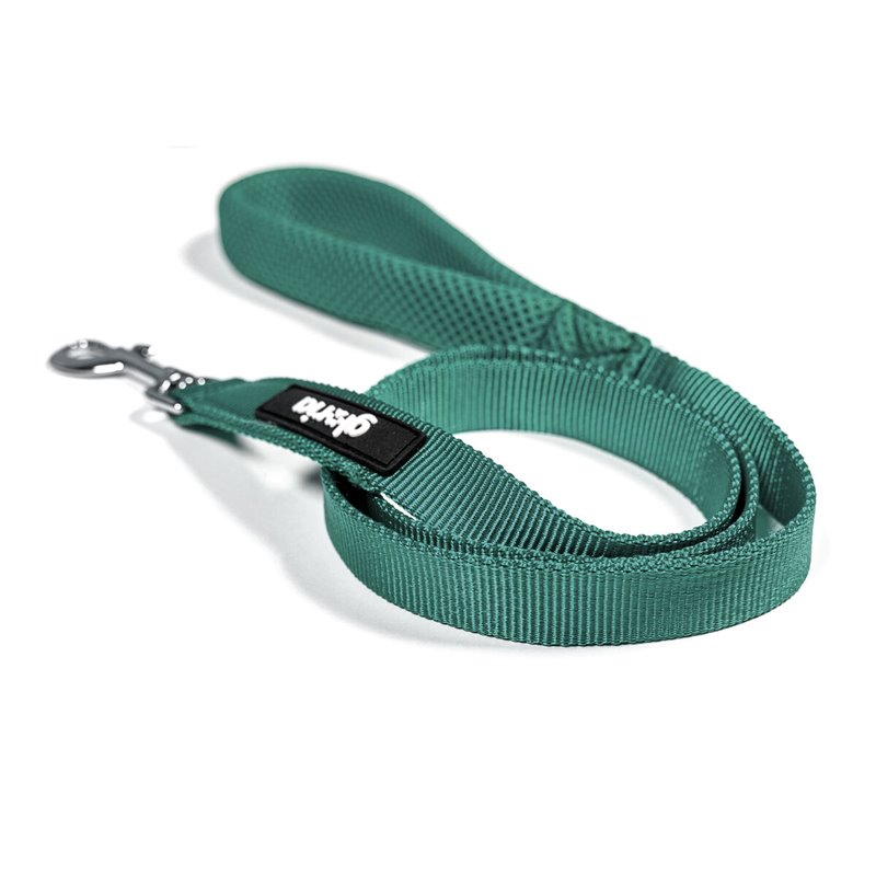 Image secondaire de Laisse pour Chien Gloria Turquoise S