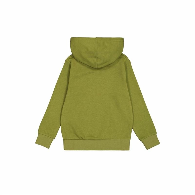 Image secondaire de Sweat à capuche homme Champion Vert