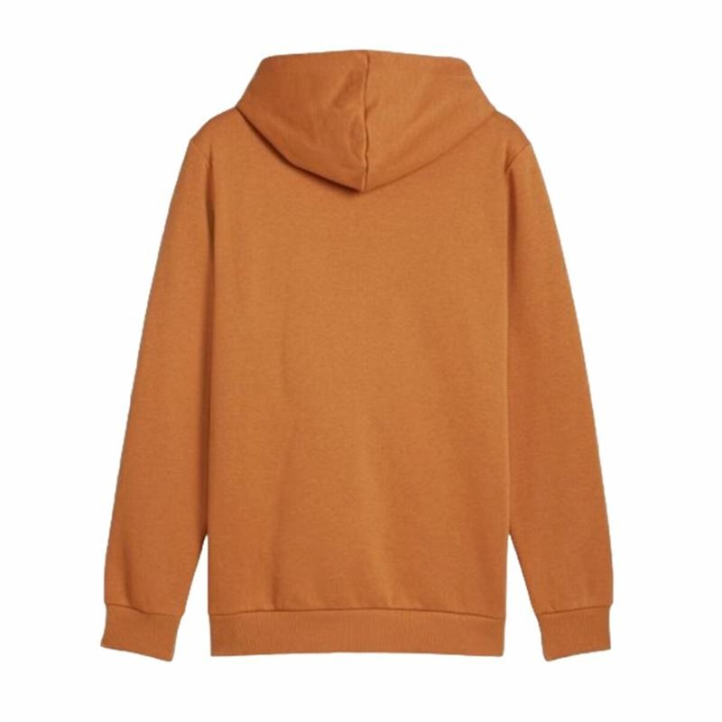 Image secondaire de Sweat à capuche homme Puma Essentials Big Logo Hoodie Fl