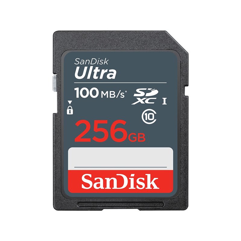 Carte Mémoire Micro SD avec Adaptateur SanDisk SDSDUNR 256 GB