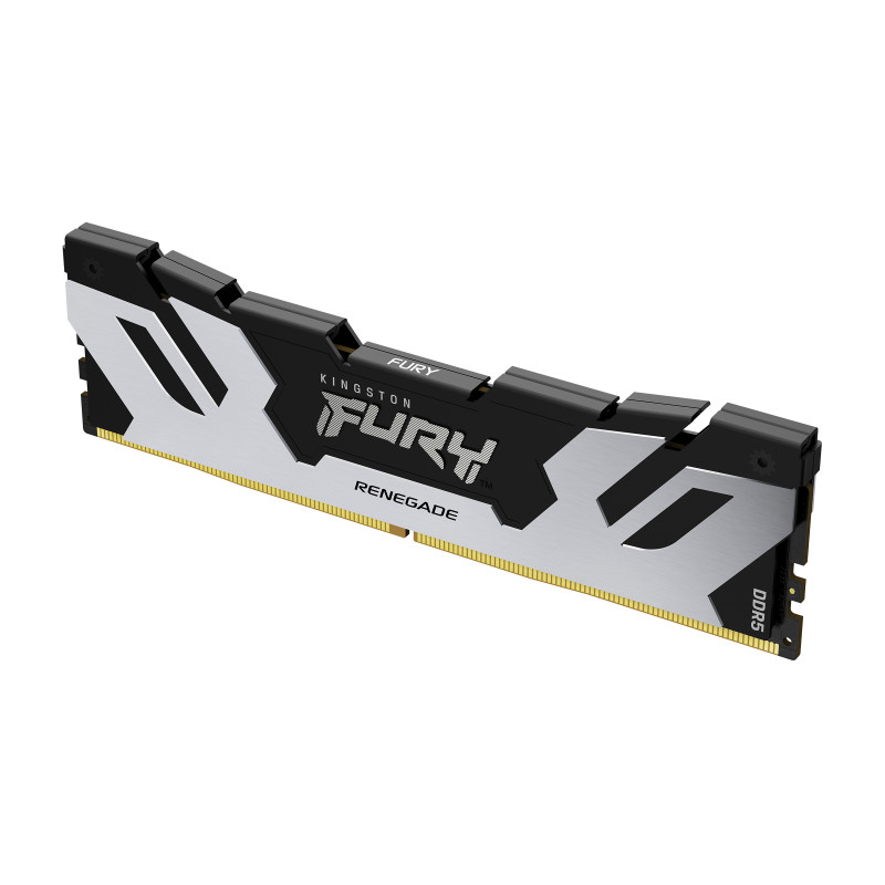 Kingston Technology FURY 16 Go 7600 MT/s DDR5 CL38 DIMM Renegade Silver XMP