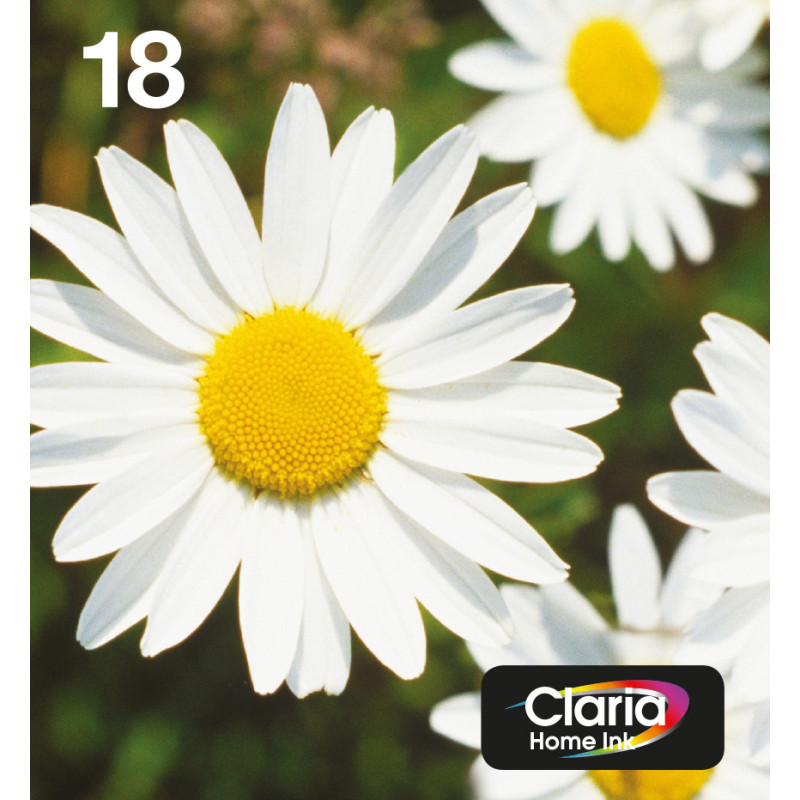 Epson Daisy Multipack EasyMail