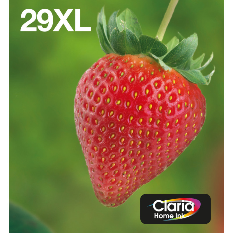 Epson Strawberry Multipack EasyMail