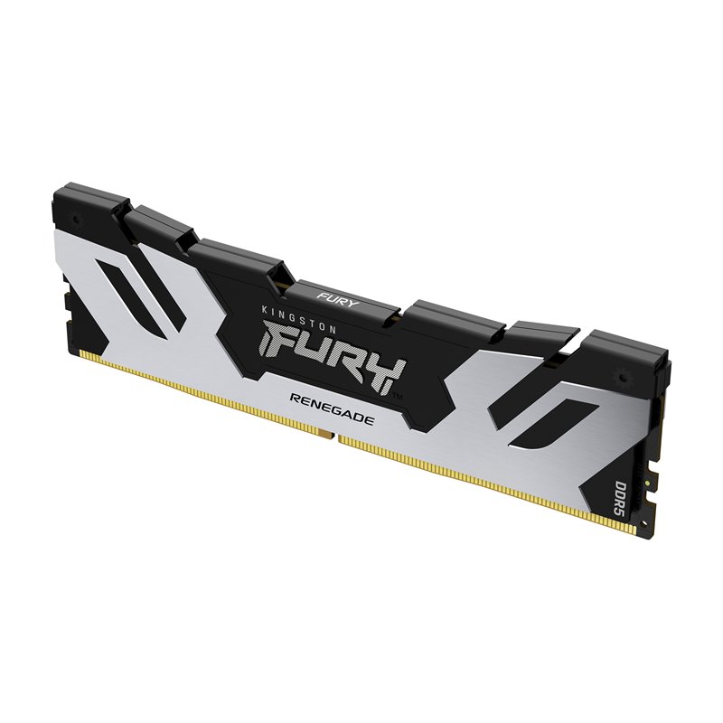 Image secondaire de Kingston Technology FURY DIMM DDR5 CL38 16 Go 7 200 MT/s Renegade Argent XMP