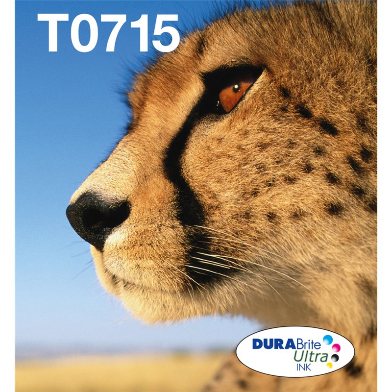 Image secondaire de Epson Multipack 4-colours T071 EasyMail