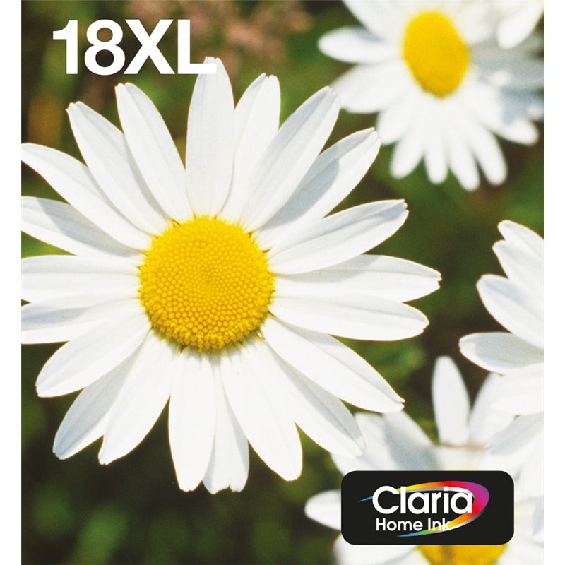 Image secondaire de Epson Daisy Multipack EasyMail 