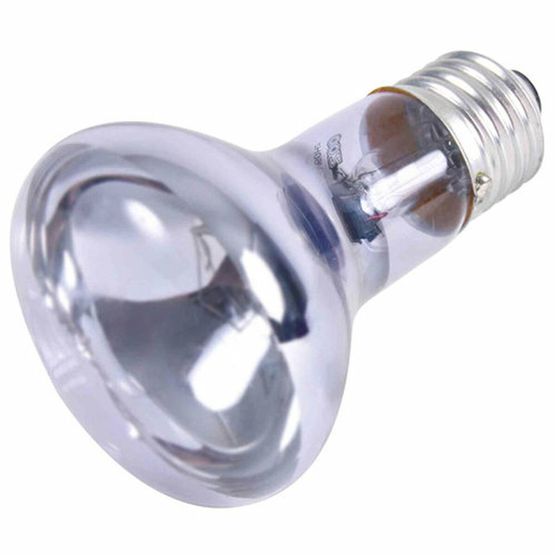 Image secondaire de Ampoule infrarouge Trixie