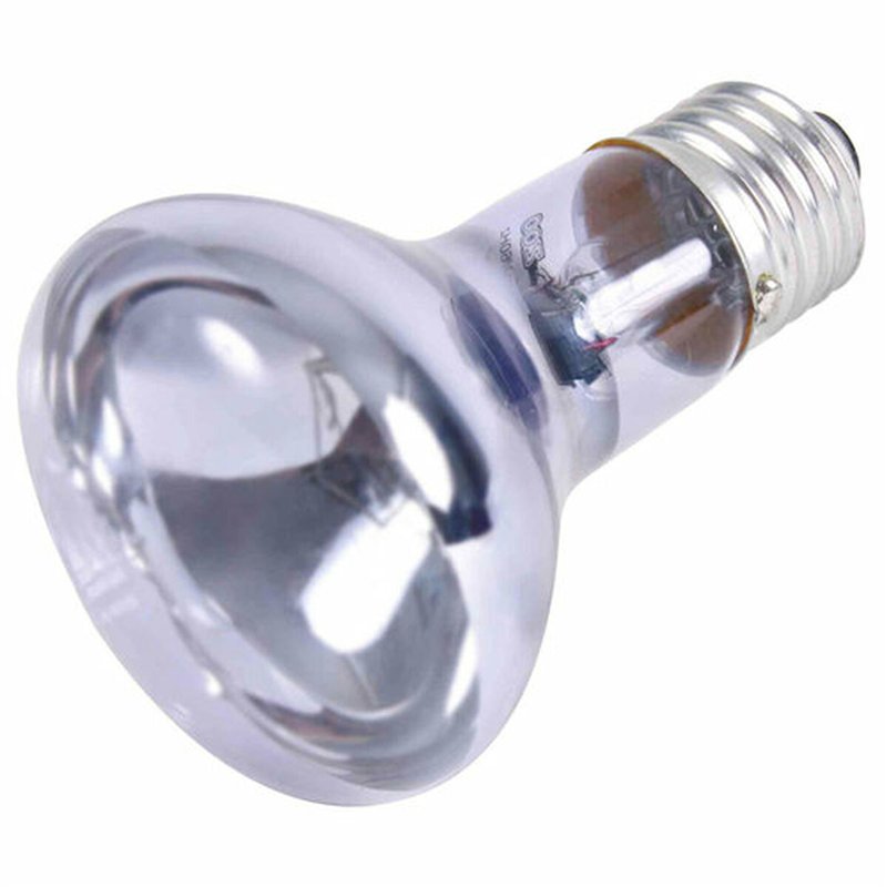 Image secondaire de Ampoule infrarouge Trixie